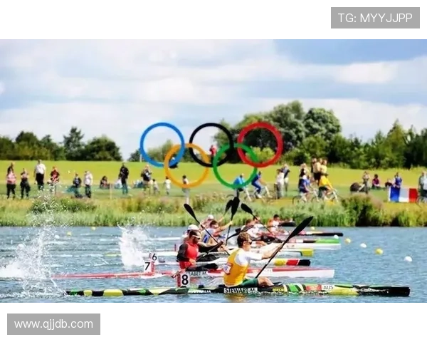 196体育官网：如何选择适合自己的投注项目